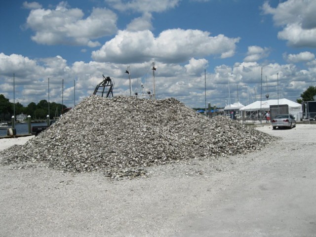 The big pile of shell.