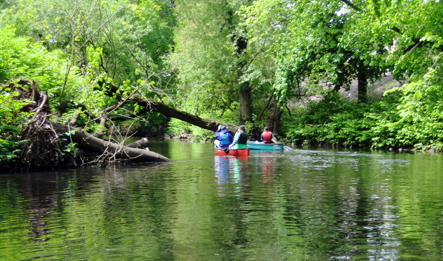 The Bronx River shows the nature still within the city. (Ph: Bronx River Alliance)