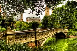 Central Park Bridge:Trees