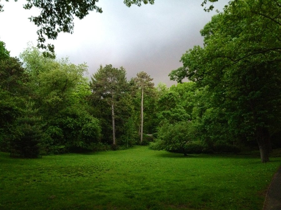 The park's trees absorb CO2, buffer heavy rain, and remove pollutants. (Ph: Caroline Kim)