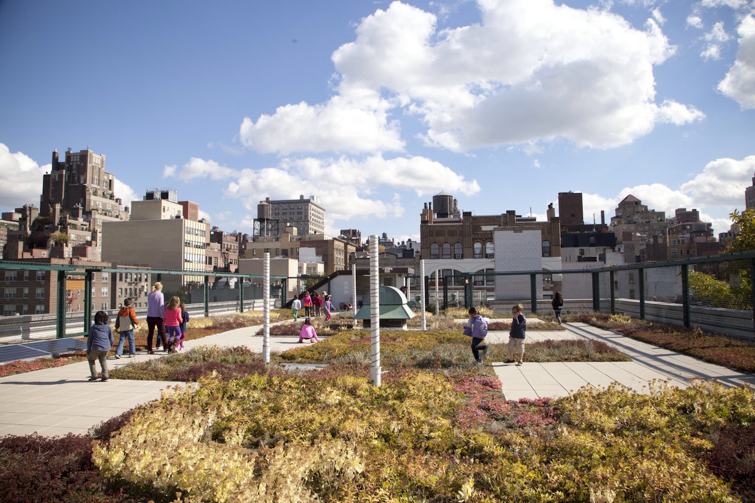 The green roof at P.S. 41; click to enlarge. (Photo: Jessica Bruah)