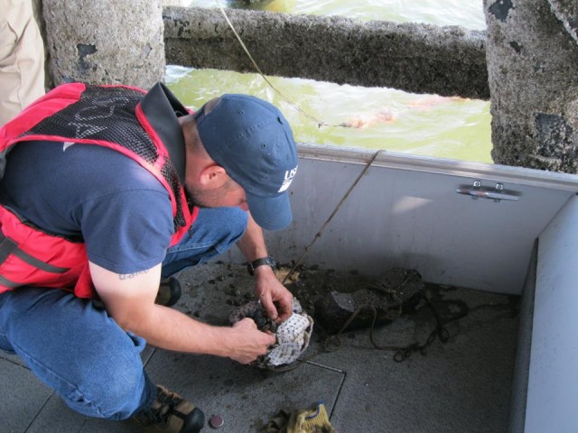 I got help from USGS Wildlife Services who is also an expert rock climber to help me tie the bags of shell to the rope.