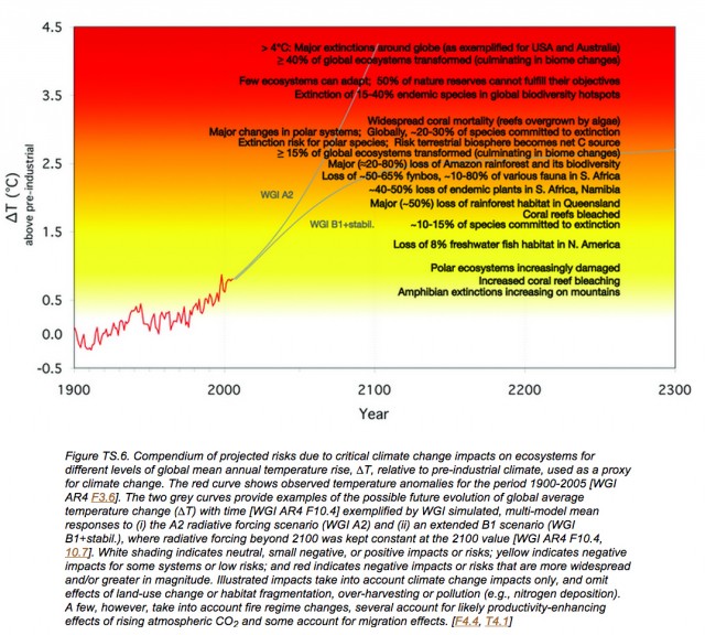 Impacts measured by temperature, from IPCC AR4  report (2007); click to expand