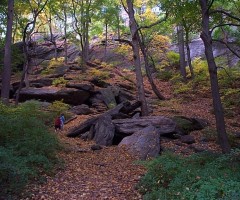 Inwood Hill Park. Photo Credit: Bedrock Geology of New York 
