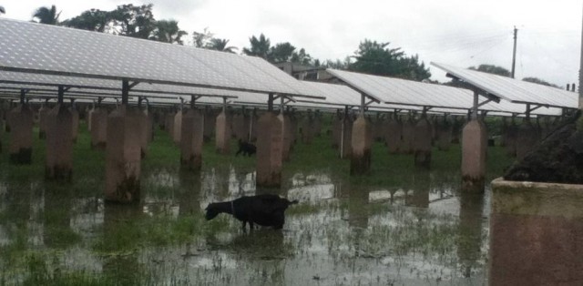 A solar micro-grid in West Bengal, India. (Courtesy Chris Neidl)