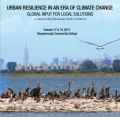 Urban resilience cover photo
