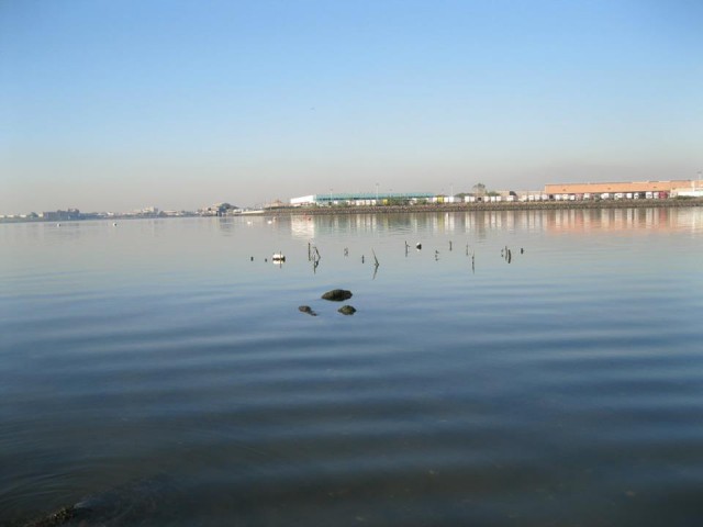 View of of the oyster reef from the shore located off of Soundview Park at the mouth of the Bronx River. Across the way you can see Hunt's Point.