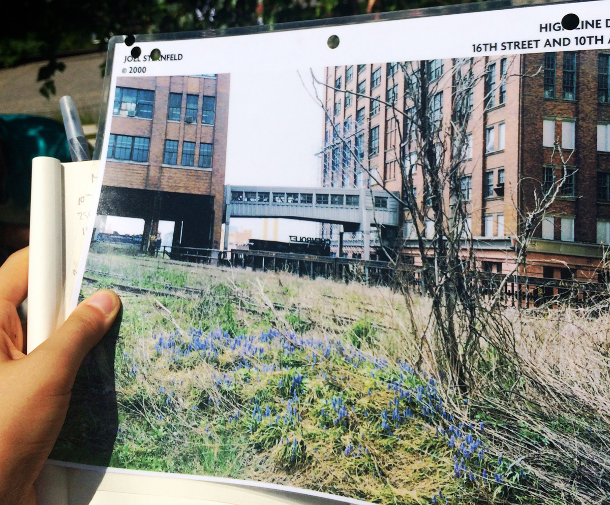 Photos of the wildflowers on the original abandoned tracks, taken by Joel Sternfeld, gave the founders inspiration.