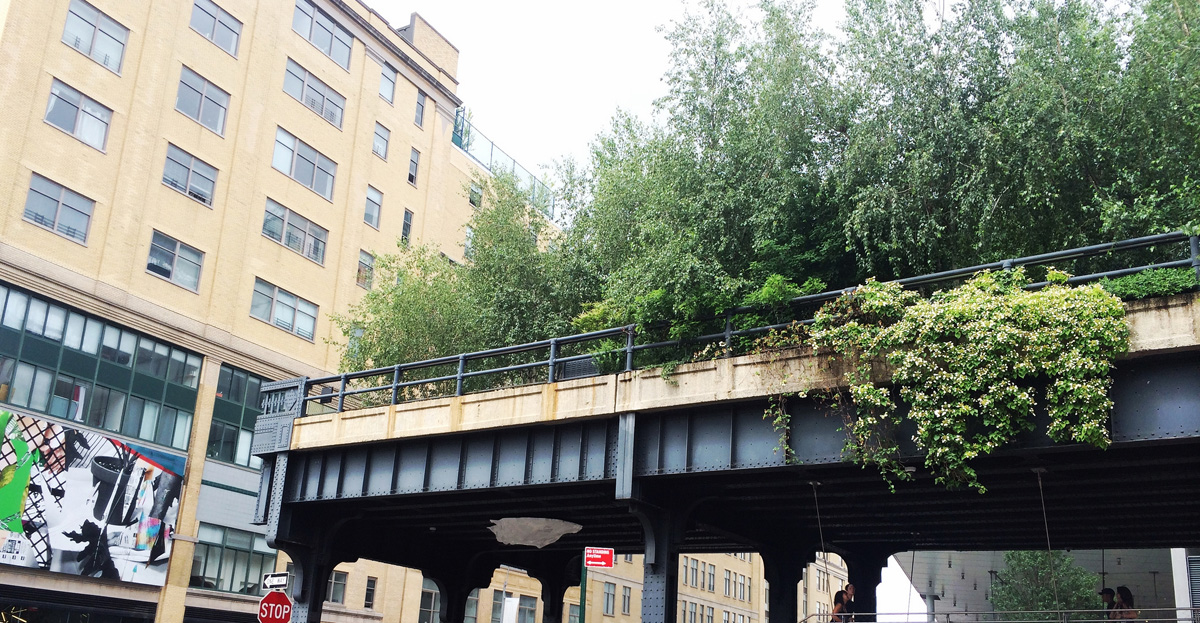 Plantings on the High Line have become an idealized version of its wild self.